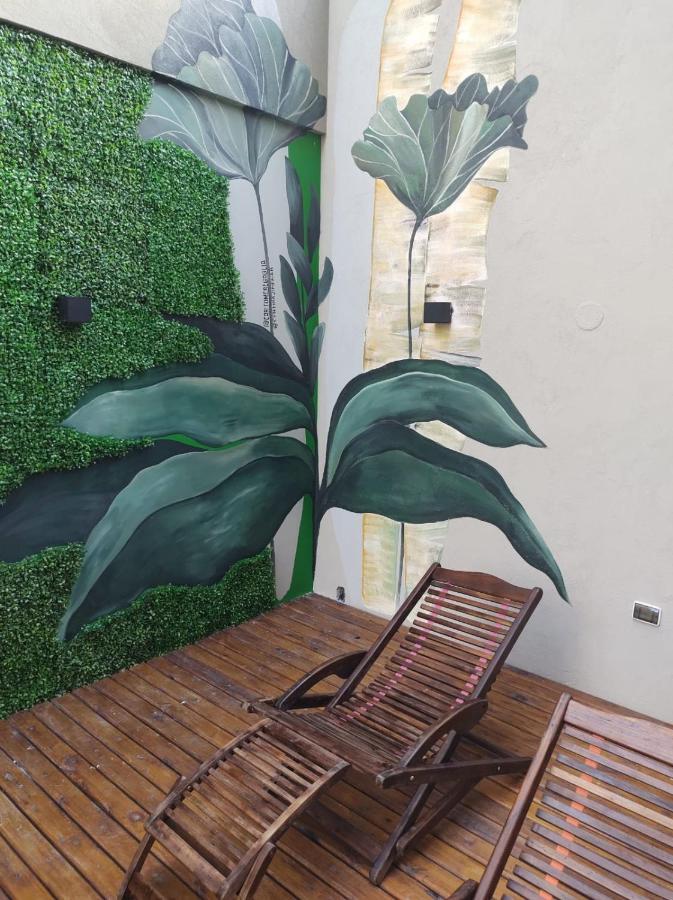 Estudio Flor De Lis Salta
